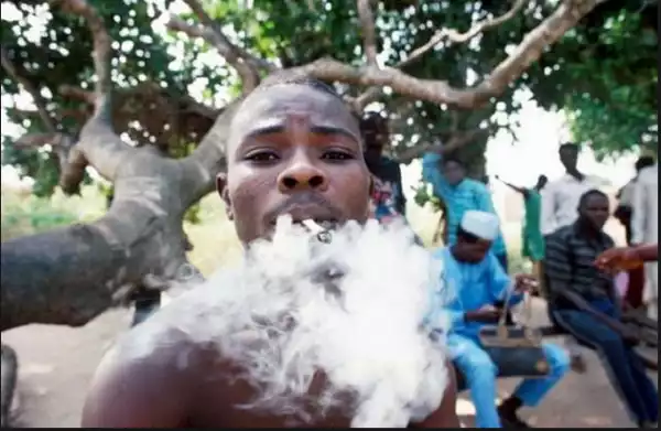 Police Arraign Two For Smoking Weed During School Hours In Osun State...